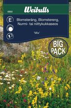 Blomstereng blanding big pack